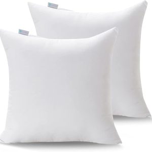 Acanva 2 Pack Square Throw Inserts for Sofa, Bed, Couch, Soft Polyester Microfiber Filled Decorative Stuffer Pillows, 2 Count (Pack of 1), White