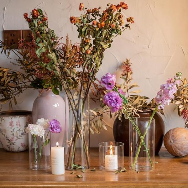 Devilfire 12Pcs Glass Cylinder vases for Centerpieces, 6 Inches Tall Flower Vases Wedding Decorations,Bulk Cylinder Flower& Plant Vases,Hurricane Candle Holder for Table Shelf, Party. - Image 2
