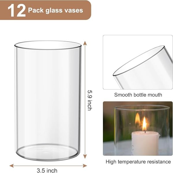 Devilfire 12Pcs Glass Cylinder vases for Centerpieces, 6 Inches Tall Flower Vases Wedding Decorations,Bulk Cylinder Flower& Plant Vases,Hurricane Candle Holder for Table Shelf, Party. - Image 5